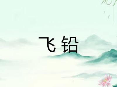 飞铅 飞铅