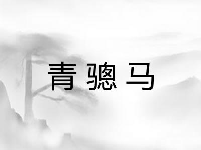 青骢马