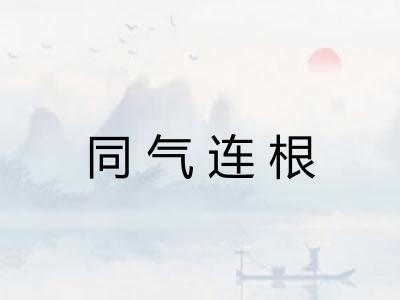 同气连根 同气连根