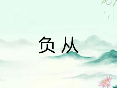 负从 负从