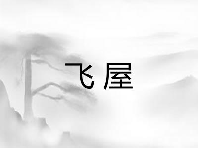 飞屋 飞屋