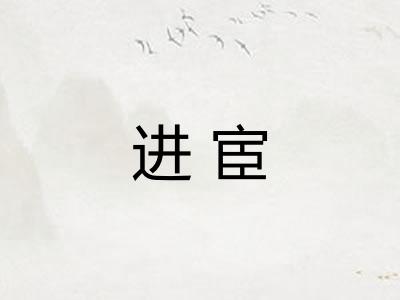 进宦