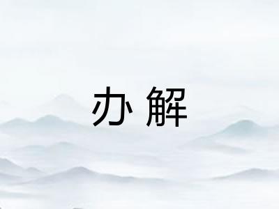 办解 办解