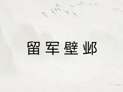 留军壁邺 留军壁邺