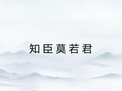 知臣莫若君 知臣莫若君