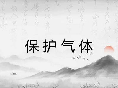 保护气体 保护气体