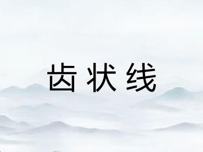 齿状线 齿状线