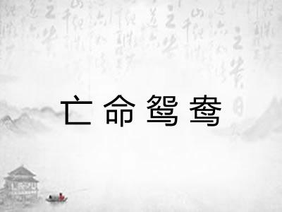 亡命鸳鸯 亡命鸳鸯