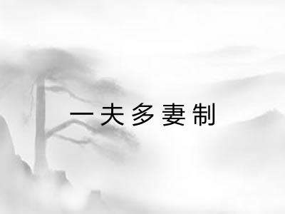 一夫多妻制 一夫多妻制