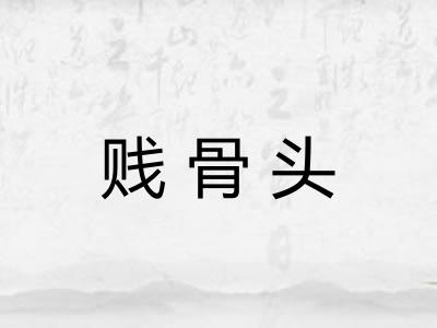 贱骨头 贱骨头