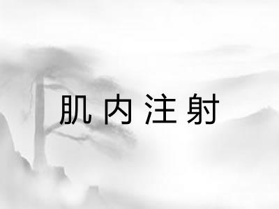 肌内注射 肌内注射