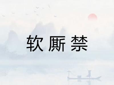 软厮禁 软厮禁