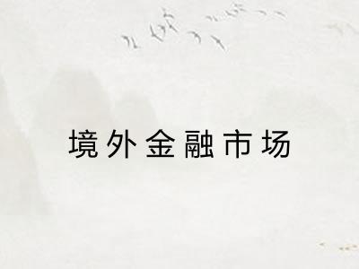 境外金融市场