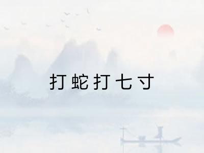 打蛇打七寸 打蛇打七寸