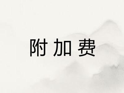 附加费