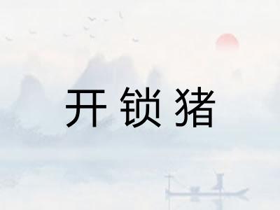 开锁猪 开锁猪