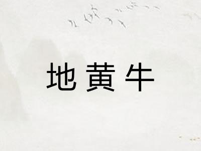 地黄牛