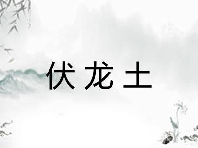 伏龙土