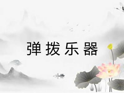 弹拨乐器 弹拨乐器