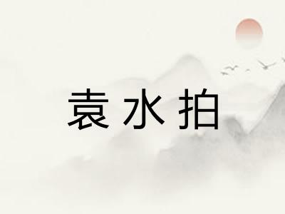 袁水拍 袁水拍