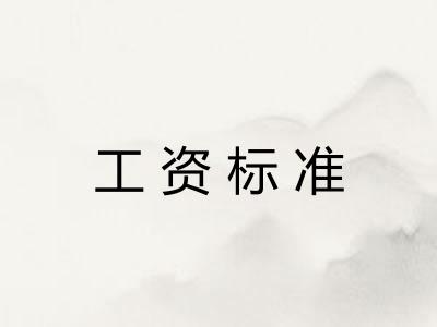 工资标准 工资标准