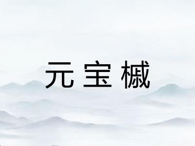 元宝槭 元宝槭