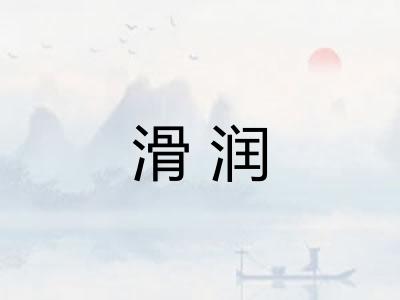 滑润 滑润