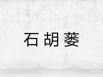 石胡蒌 石胡蒌