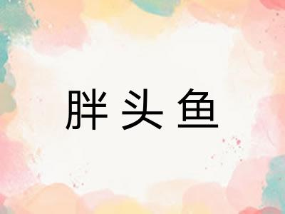 胖头鱼 胖头鱼
