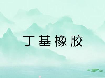 丁基橡胶 丁基橡胶