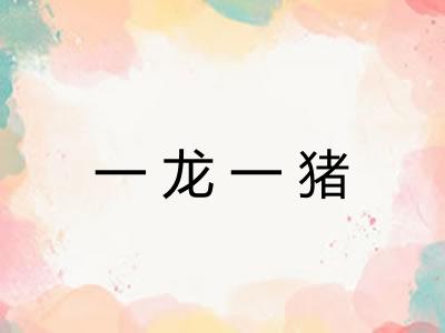一龙一猪 一龙一猪