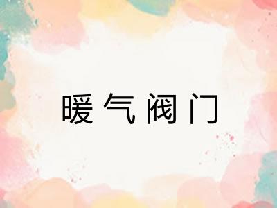 暖气阀门 暖气阀门