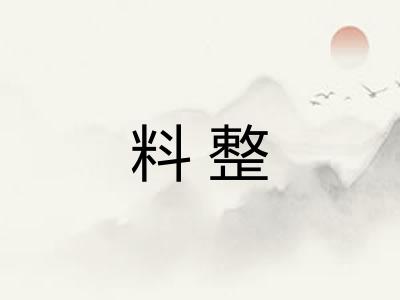 料整