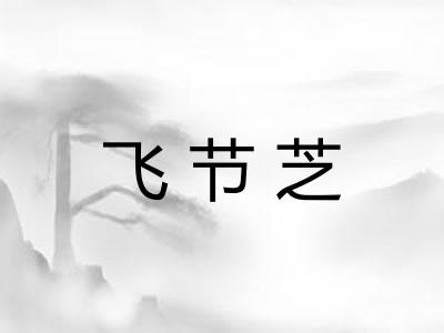 飞节芝 飞节芝