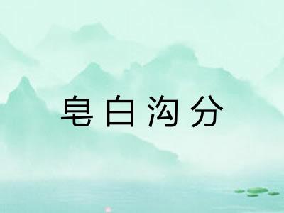 皂白沟分 皂白沟分