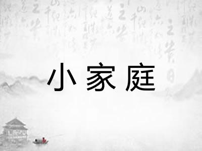 小家庭