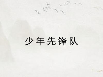 少年先锋队 少年先锋队