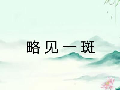 略见一斑 略见一斑