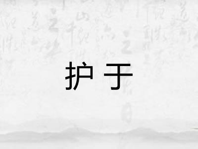 护于