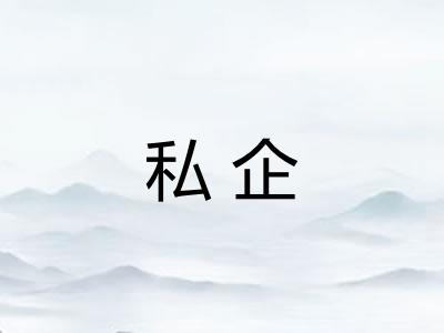 私企