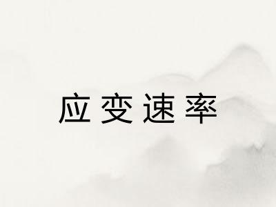 应变速率 应变速率