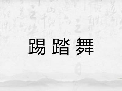 踢踏舞 踢踏舞