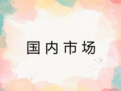 国内市场 国内市场