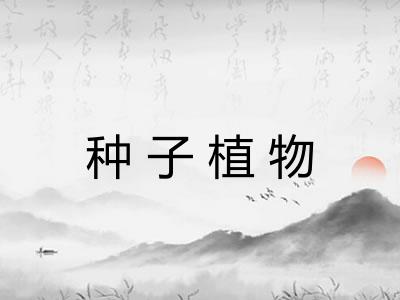 种子植物 种子植物