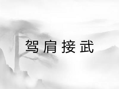 驾肩接武 驾肩接武