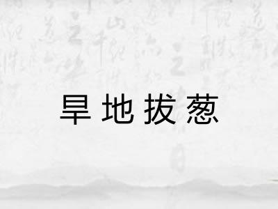 旱地拔葱 旱地拔葱
