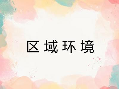 区域环境