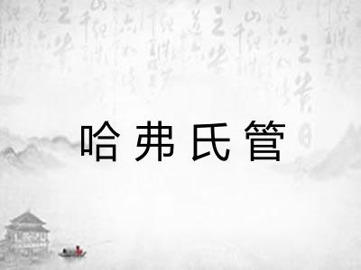 哈弗氏管 哈弗氏管