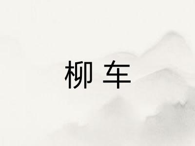 柳车 柳车