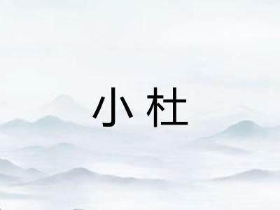 小杜 小杜